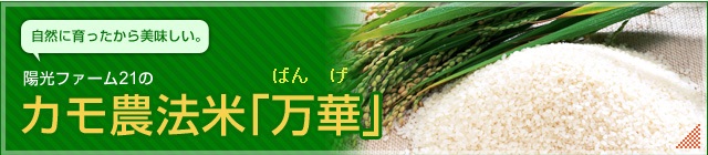 カモ農法米「万華（ばんげ）」のご案内