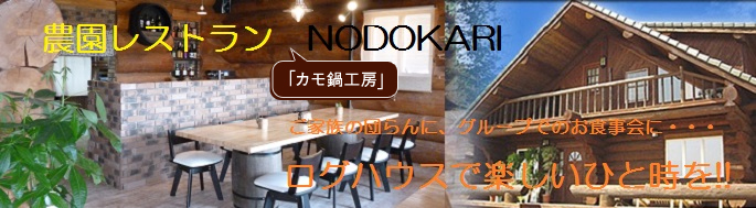 農園レストランNODOKARI