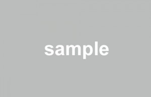 sample_img001