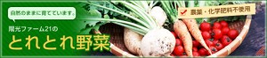 vegetable_img001